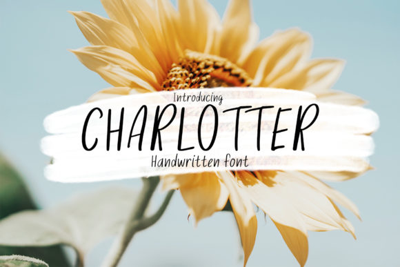 Charlotter: A Simple, Friendly Handwritten Font for Digital Design