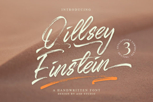Qillsey Einstein Font for Editorial Design and Branding